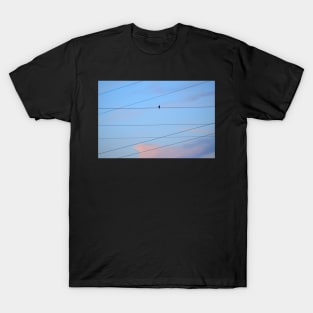 Crested Cloud, Wires and Bird T-Shirt